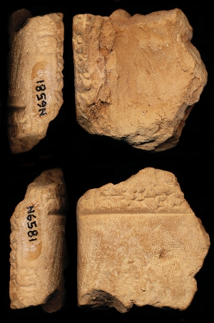 N6581