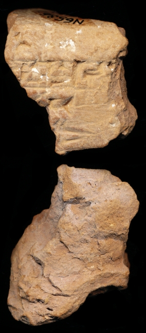 N6586