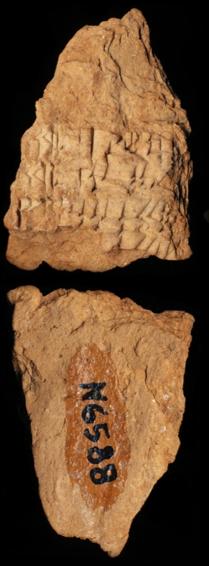 N6588