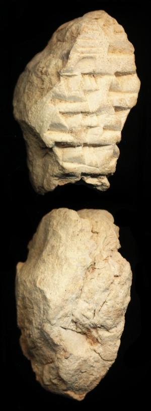 N6590