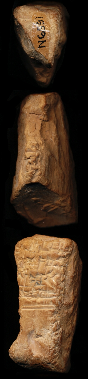 N6591