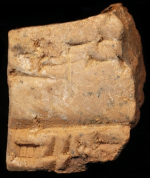 N6592