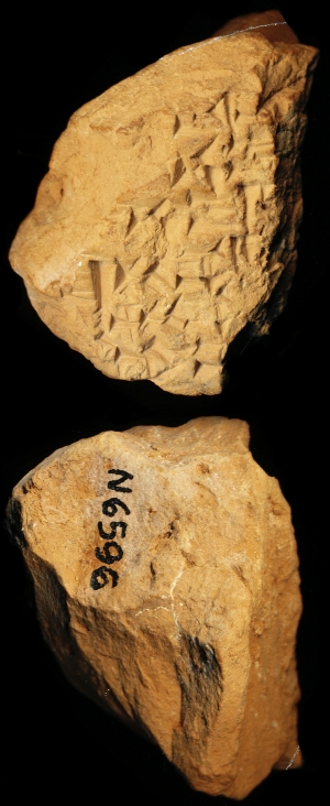 N6596