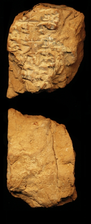 N6597