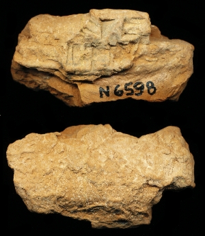 N6598