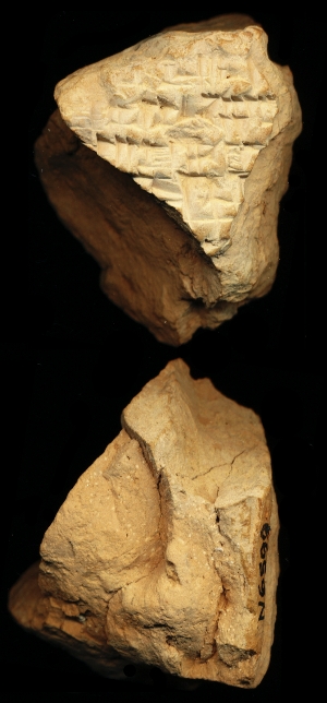 N6599