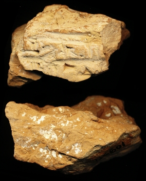 N6601