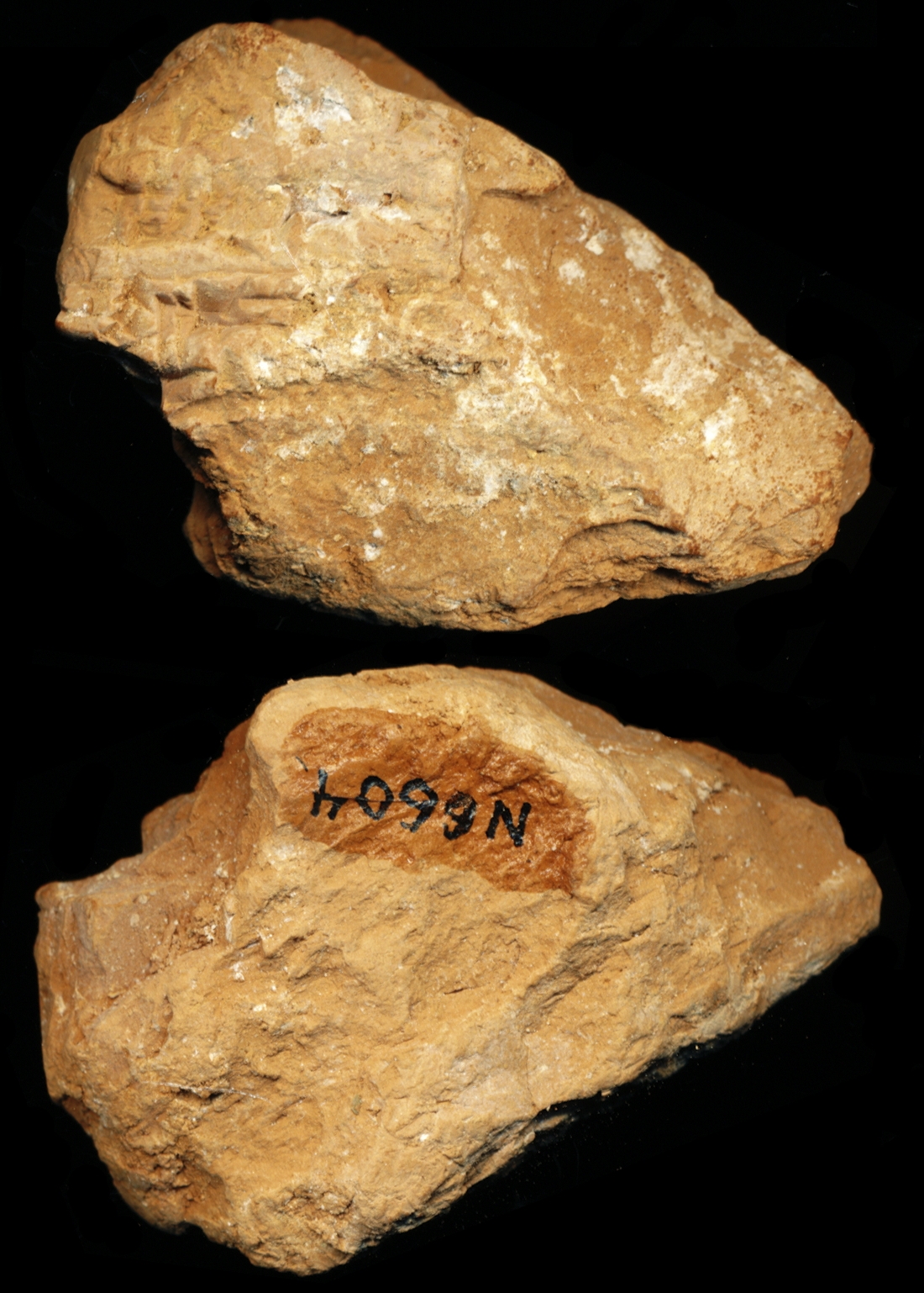 809589