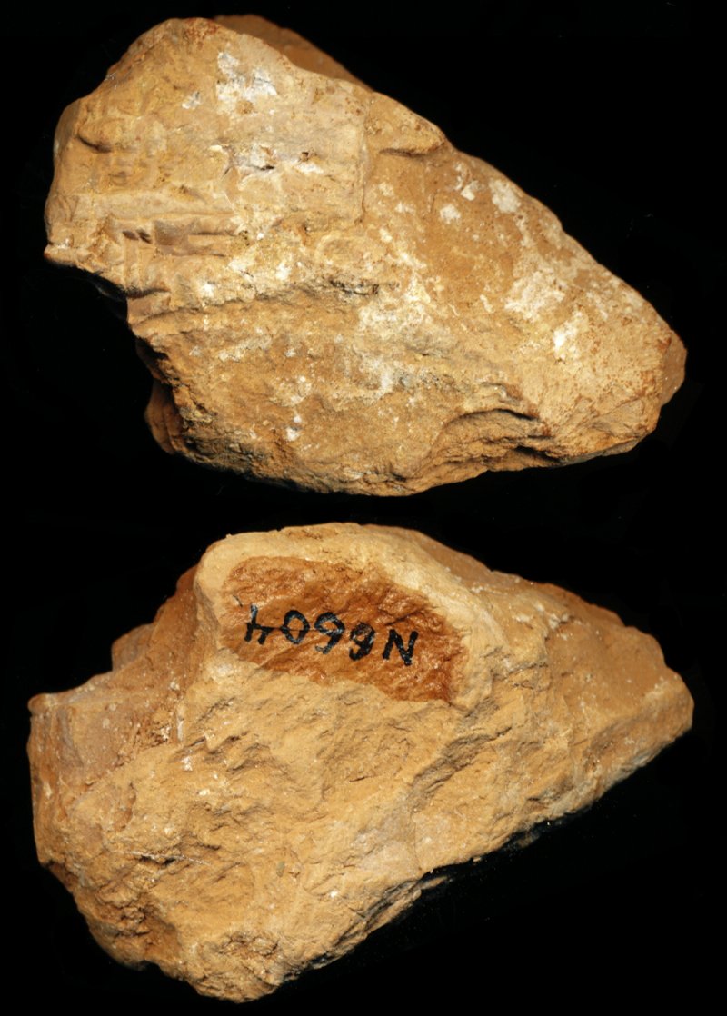 809589