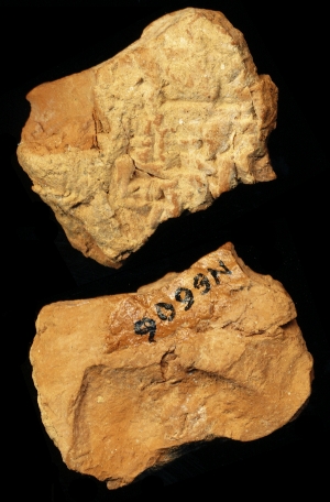 N6606
