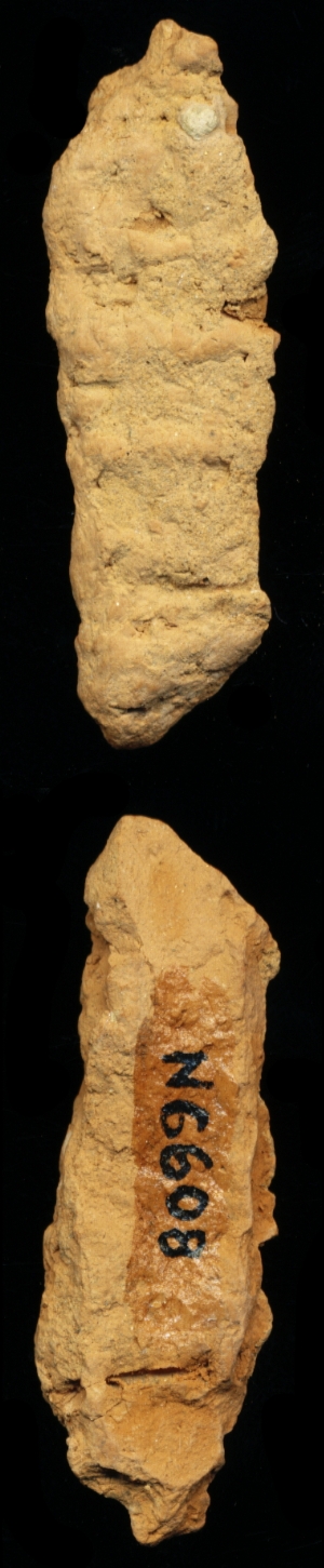 N6608