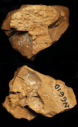 N6610