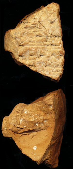 N6613