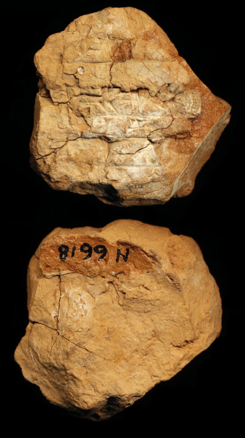 809601
