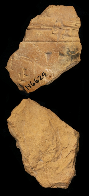 N6624