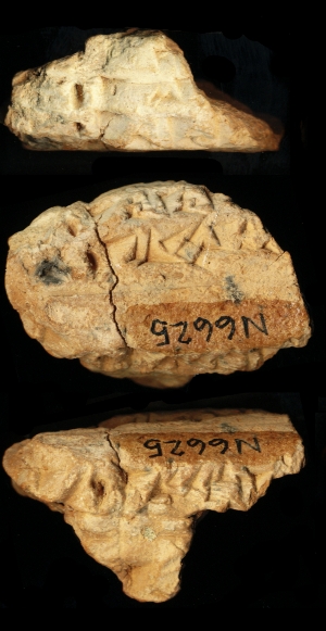 N6625