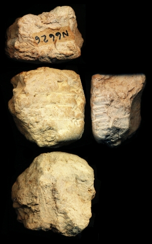 N6626