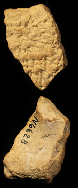 N6628