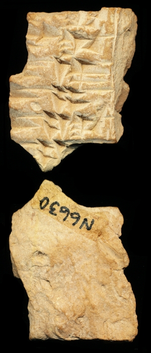 N6630