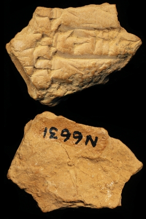 N6631