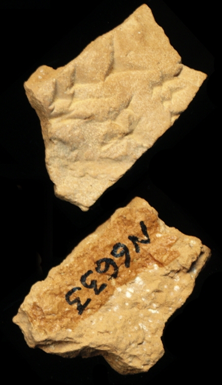 809614