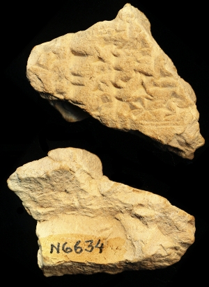 N6634