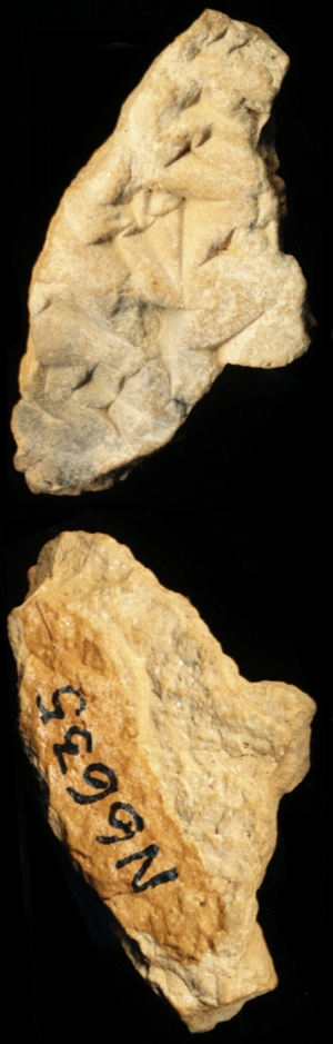N6635