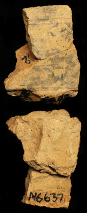 N6637