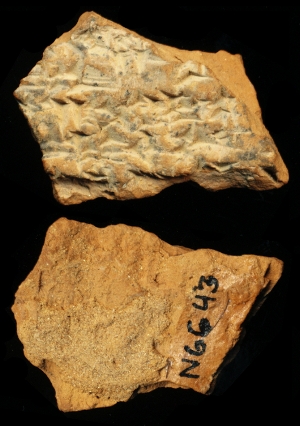 N6643