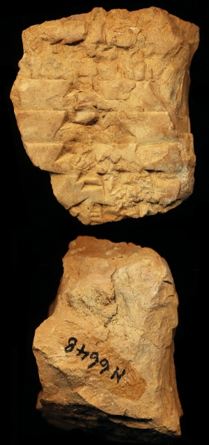 N6648