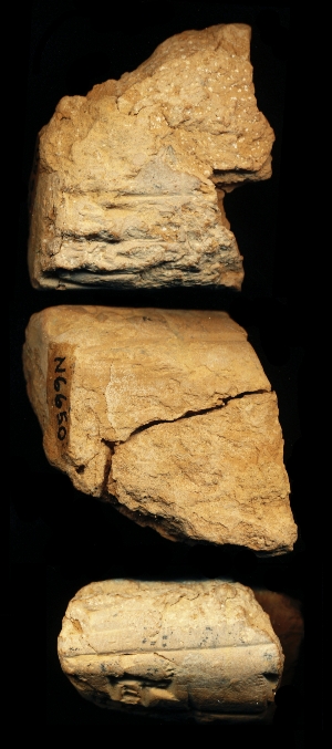 N6650