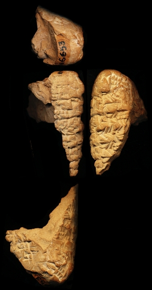 N6653