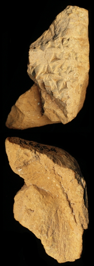 N6654