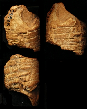 N6656