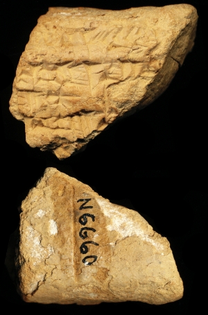 N6660