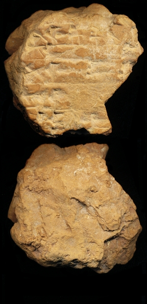 N6668