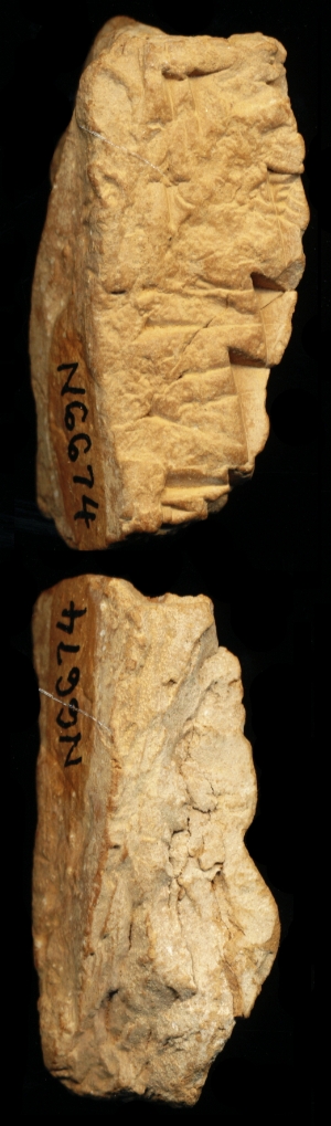 N6674
