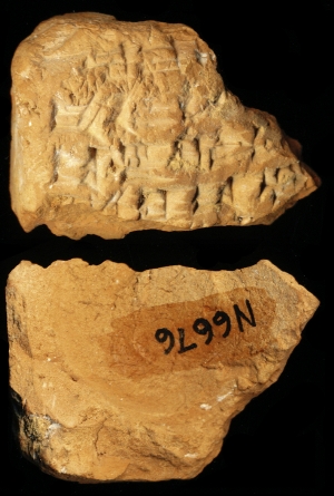 N6676