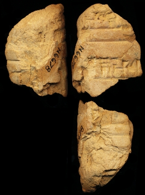 N6678