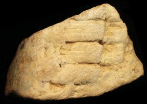 N6681