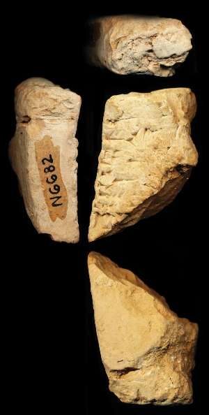 N6682