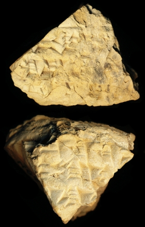N6683