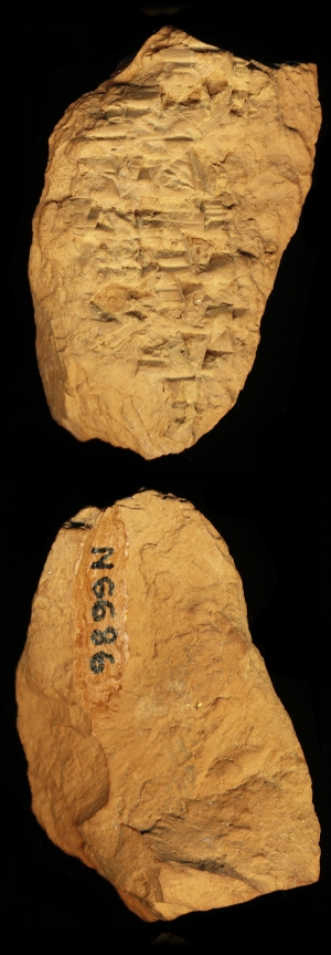 N6686