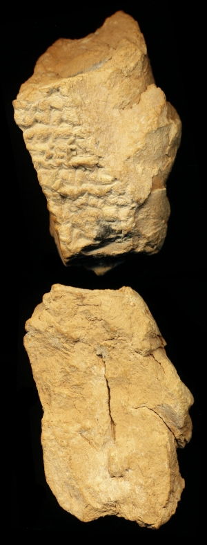 N6687