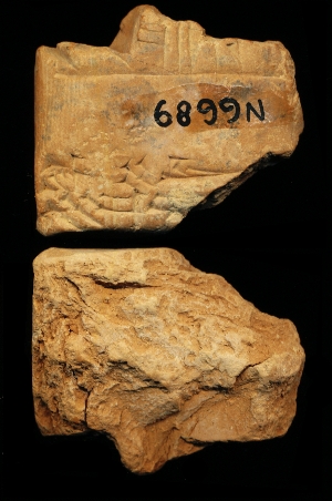 N6689