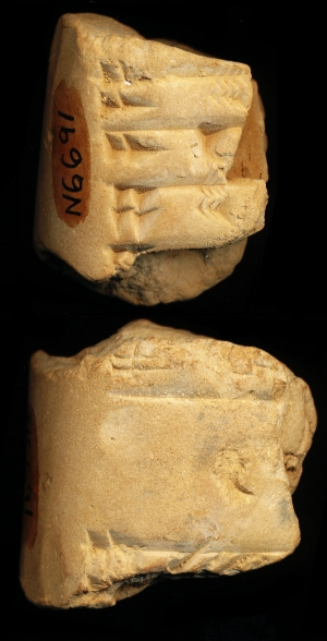 N6691