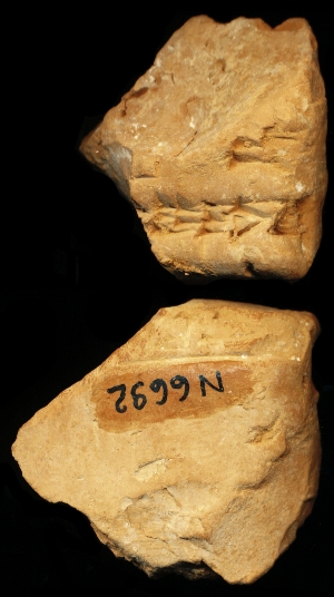 N6692