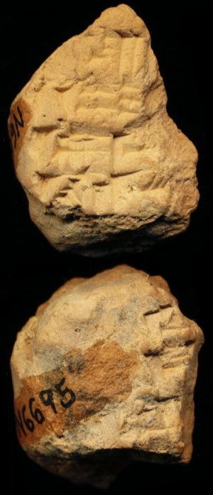 N6695
