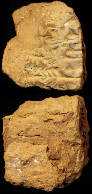 N6696