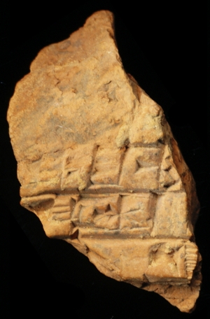 N6698